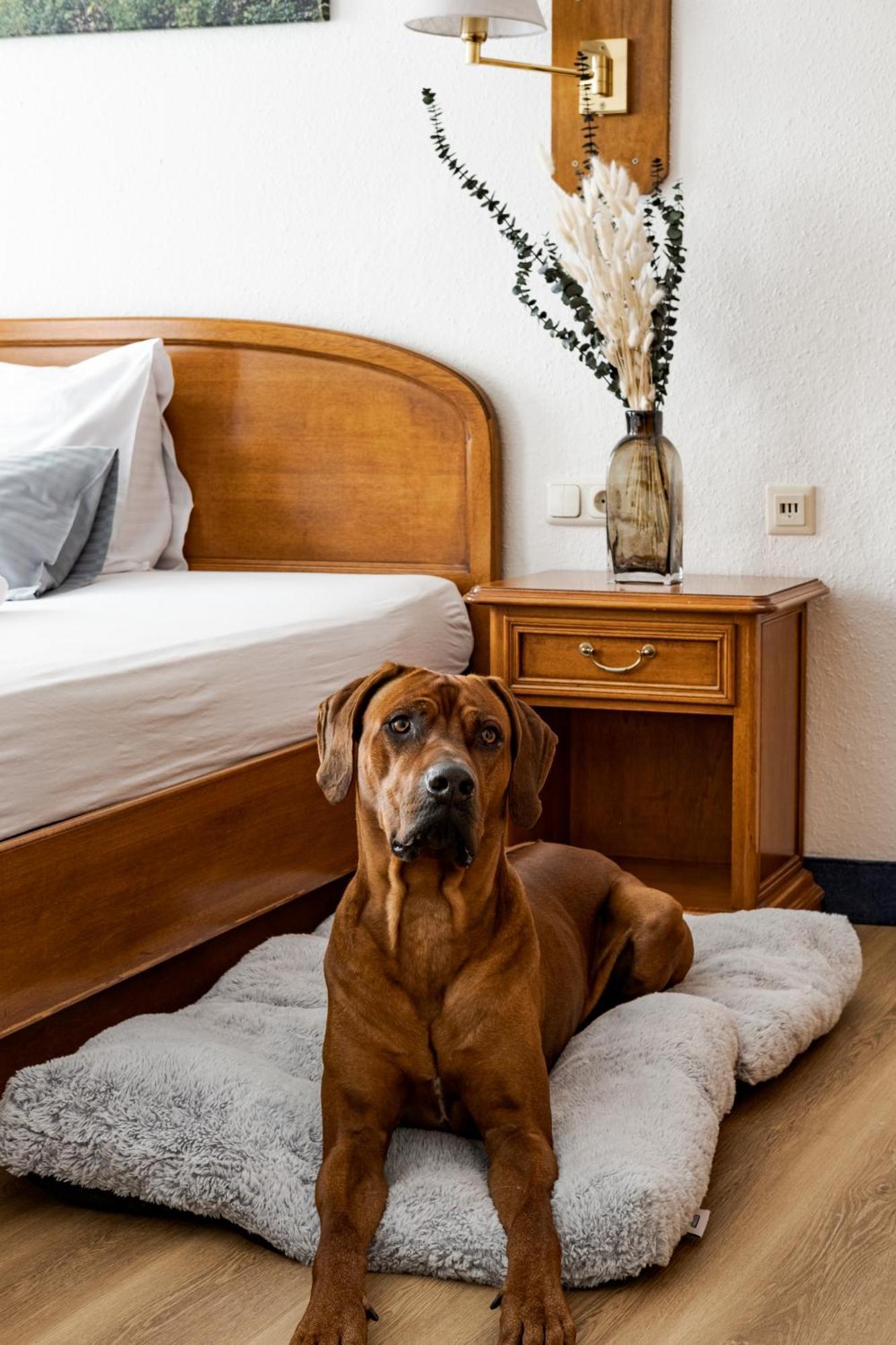 Hotel Goldener Hirsch Kaufbeuren Eksteriør bilde